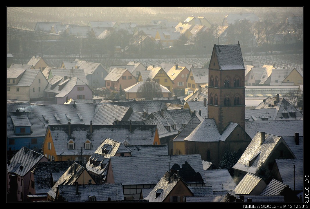 Neige à Sigolsheim.